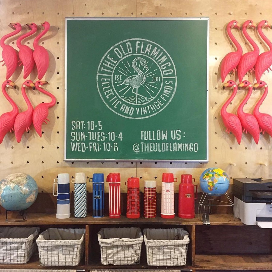 在黑板上的火烈鸟徽标“title=