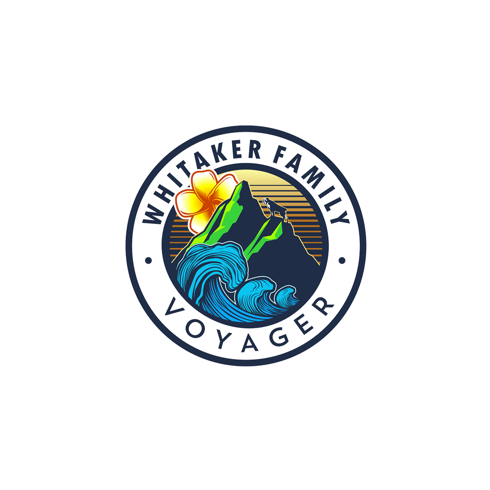 Logo design for VOYAGER by DORARPOL