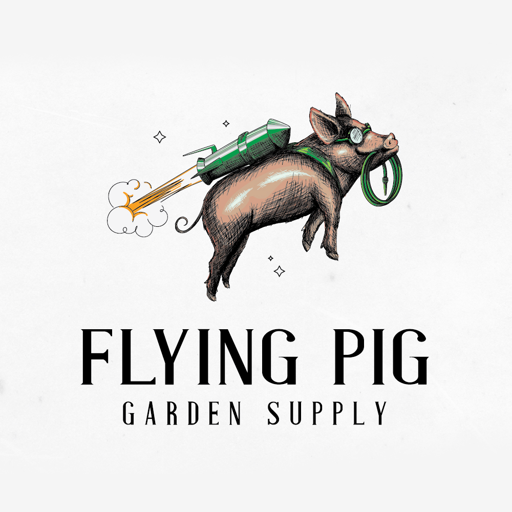 Logo design for Flying Pig by Mad pepper