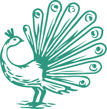 Image statistiques des projets